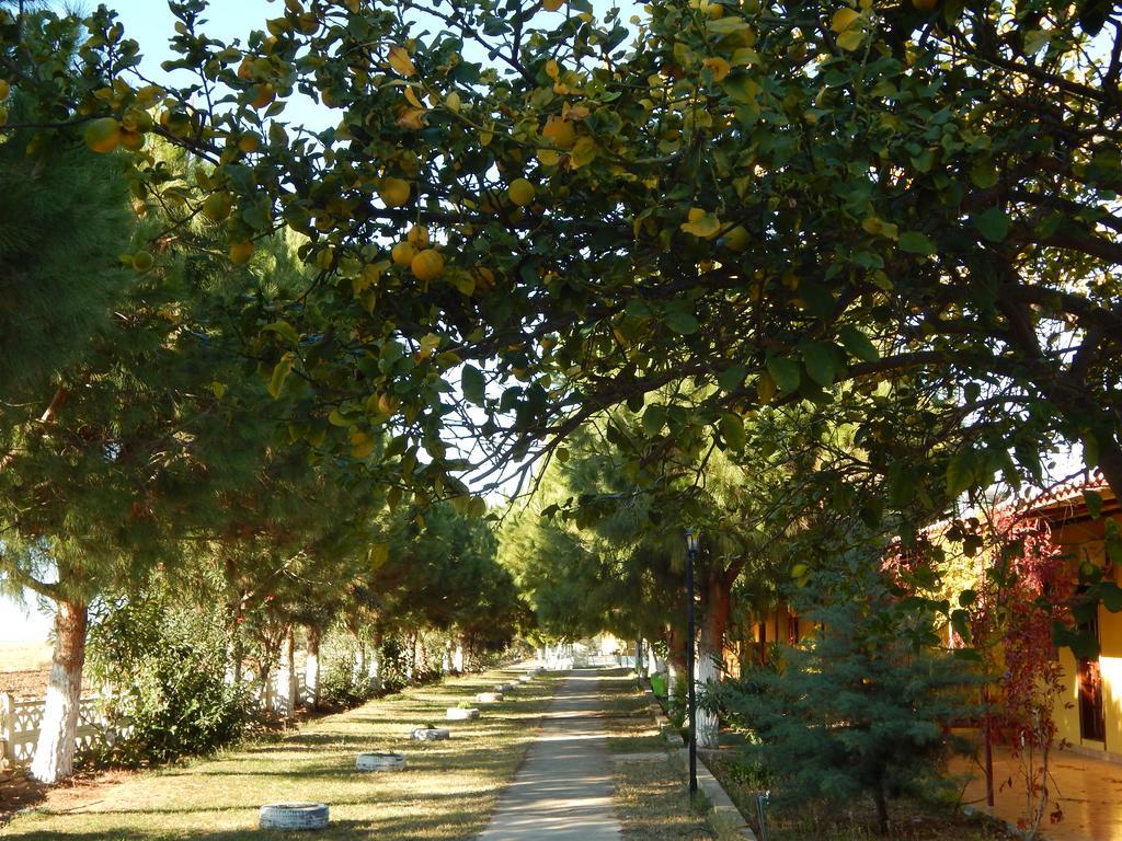 Koru Beach Club Gazipasa Exterior photo