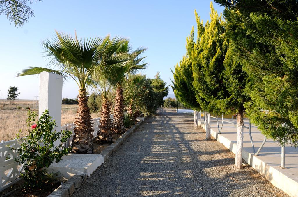 Koru Beach Club Gazipasa Exterior photo